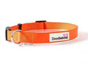 Doodblebone Bold Range Collar - Orange