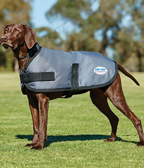 Weatherbeeta ComFiTec Classic Parka Dog Coat