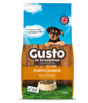 Gusto Puppy Gusto Puppy