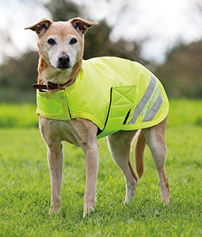 Shires EQUI-FLECTOR Dog Coat - Yellow Shires EQUI-FLECTOR Dog Coat - Yellow