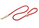 Digby & Fox Reflective Dog Lead Scarlett