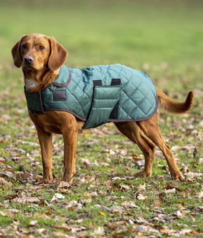Digby & Fox Heritage Dog Coat Forest Green Digby & Fox Heritage Dog Coat Forest Green