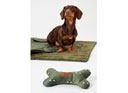 Joules Bee Print Pet Blanket & Bone Gift Set