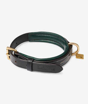 LeMieux Windsor Dog Collar Brown/Hunter Green