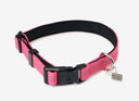 LeMieux Henley Dog Collar Watermelon