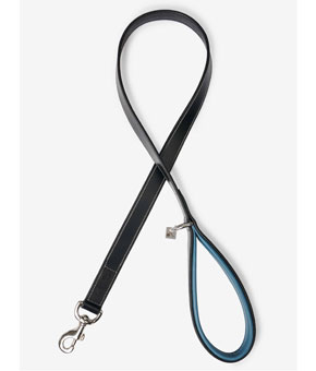 LeMieux Windsor Dog Lead Ice Blue/Black