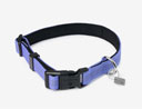 LeMieux Henley Dog Collar Bluebell